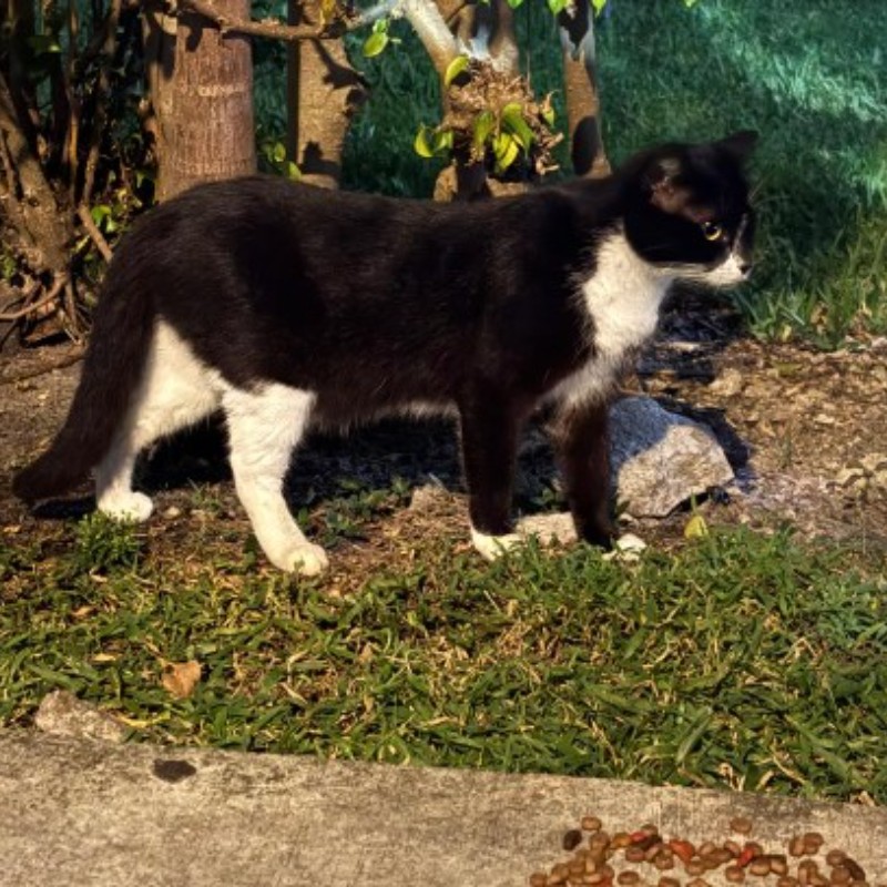 Photo of Teddy