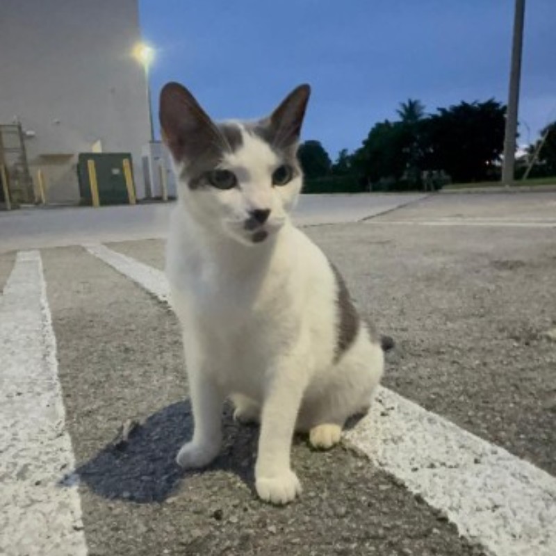 Photo of Journey