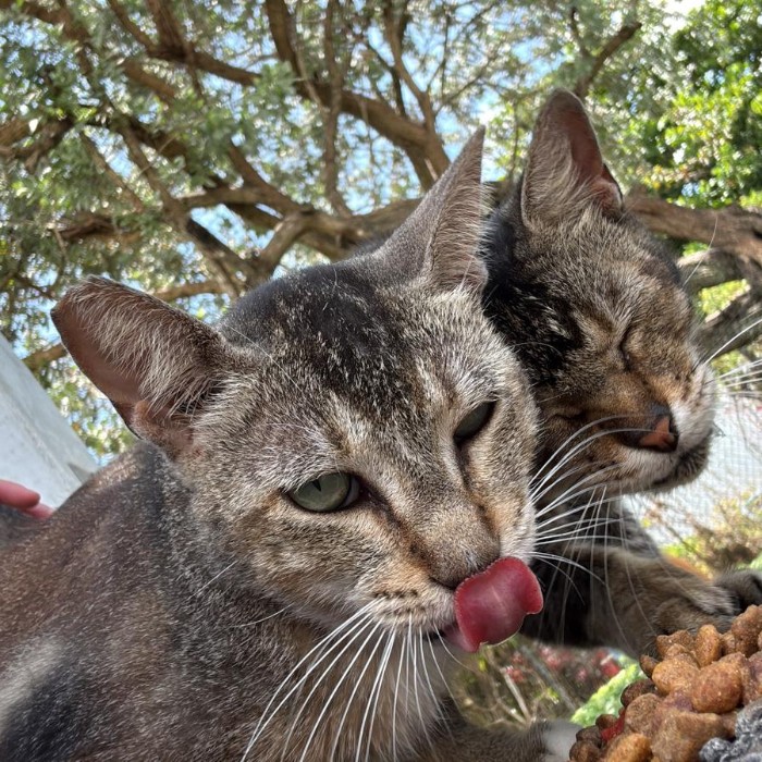 Photo of Toast & Butter!